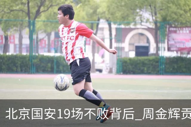 北京国安19场不败背后 周金辉贡献了什么