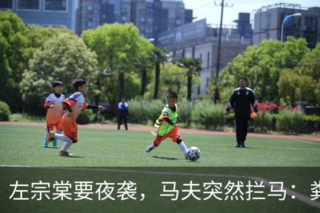 左宗棠要夜袭，马夫突然拦马：粪味不对！天亮后三千骑兵惊出冷汗