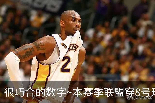 很巧合的数字~本赛季联盟穿8号球衣的球员最多 一共24个