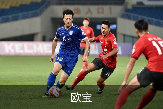 欧宝公司介绍