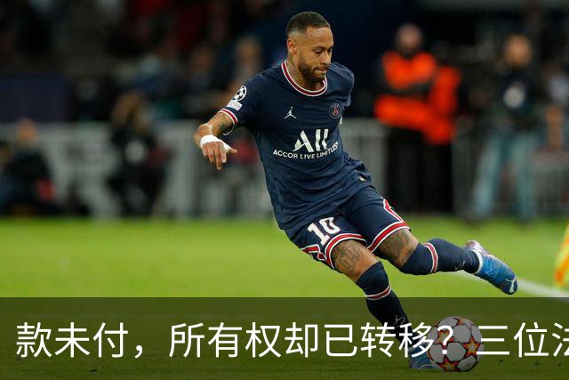 款未付，所有权却已转移？三位法学专家提出异议，陕西1200万元原煤追偿案申请再审