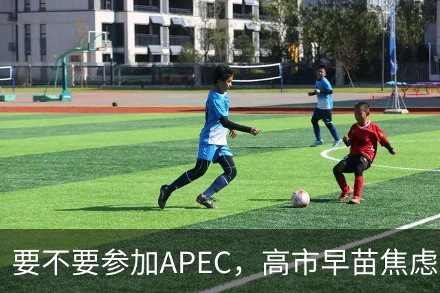 要不要参加APEC，高市早苗焦虑到抓耳挠腮