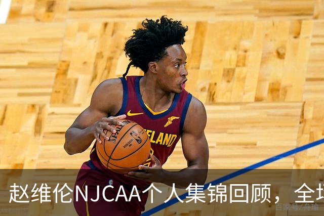 赵维伦NJCAA个人集锦回顾，全场得到19分4助1断