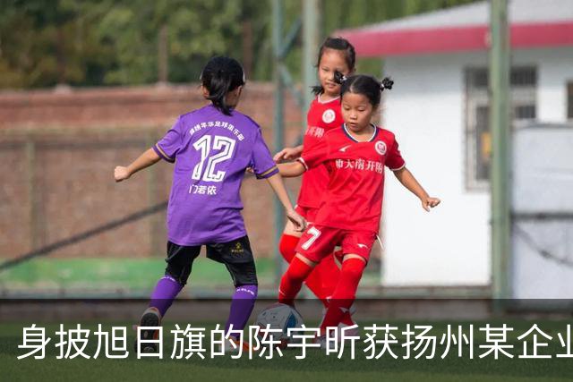 身披旭日旗的陈宇昕获扬州某企业支持，汤家凤发文怒批：必须严惩，露头就打