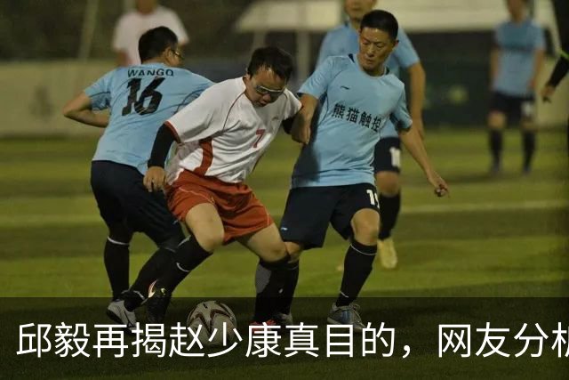 邱毅再揭赵少康真目的，网友分析也靠谱！沈伯洋无意帮了蒋万安