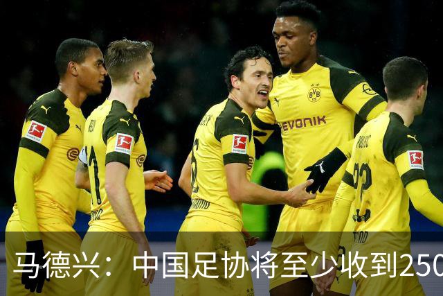 马德兴：中国足协将至少收到250万美元用于女足备战明年世界杯