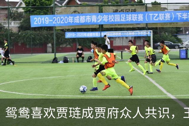 鸳鸯喜欢贾琏成贾府众人共识，王熙凤、贾母和琥珀都明说出来！